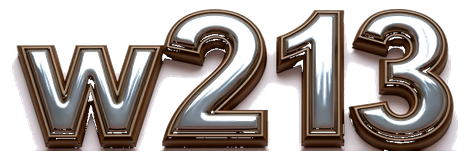 w213 logo
